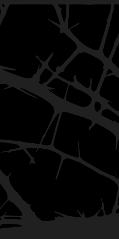aesthetic background dark