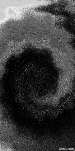 black and white aesthetic  1447x2910 Pixels